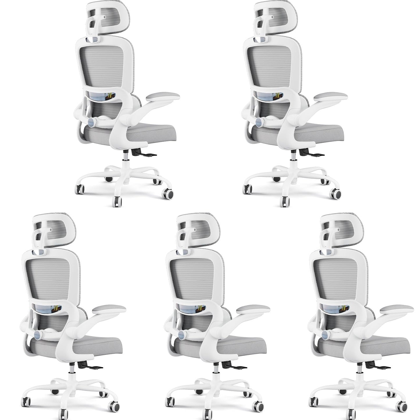 Ergonomic Office Chair with Lumbar Support