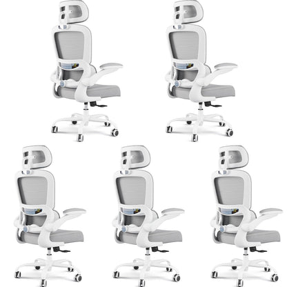 Ergonomic Office Chair with Lumbar Support