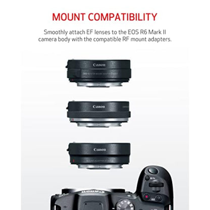 Full-Frame Mirrorless Camera with Advanced Autofocus
