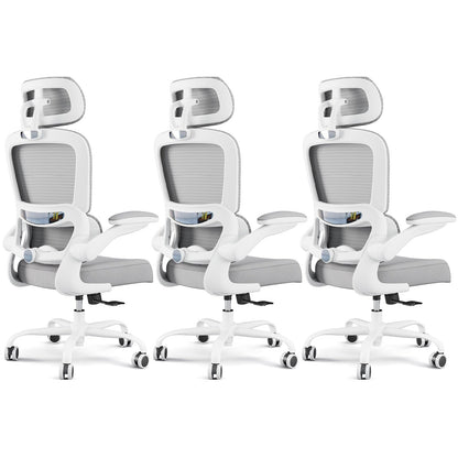 Ergonomic Office Chair with Lumbar Support