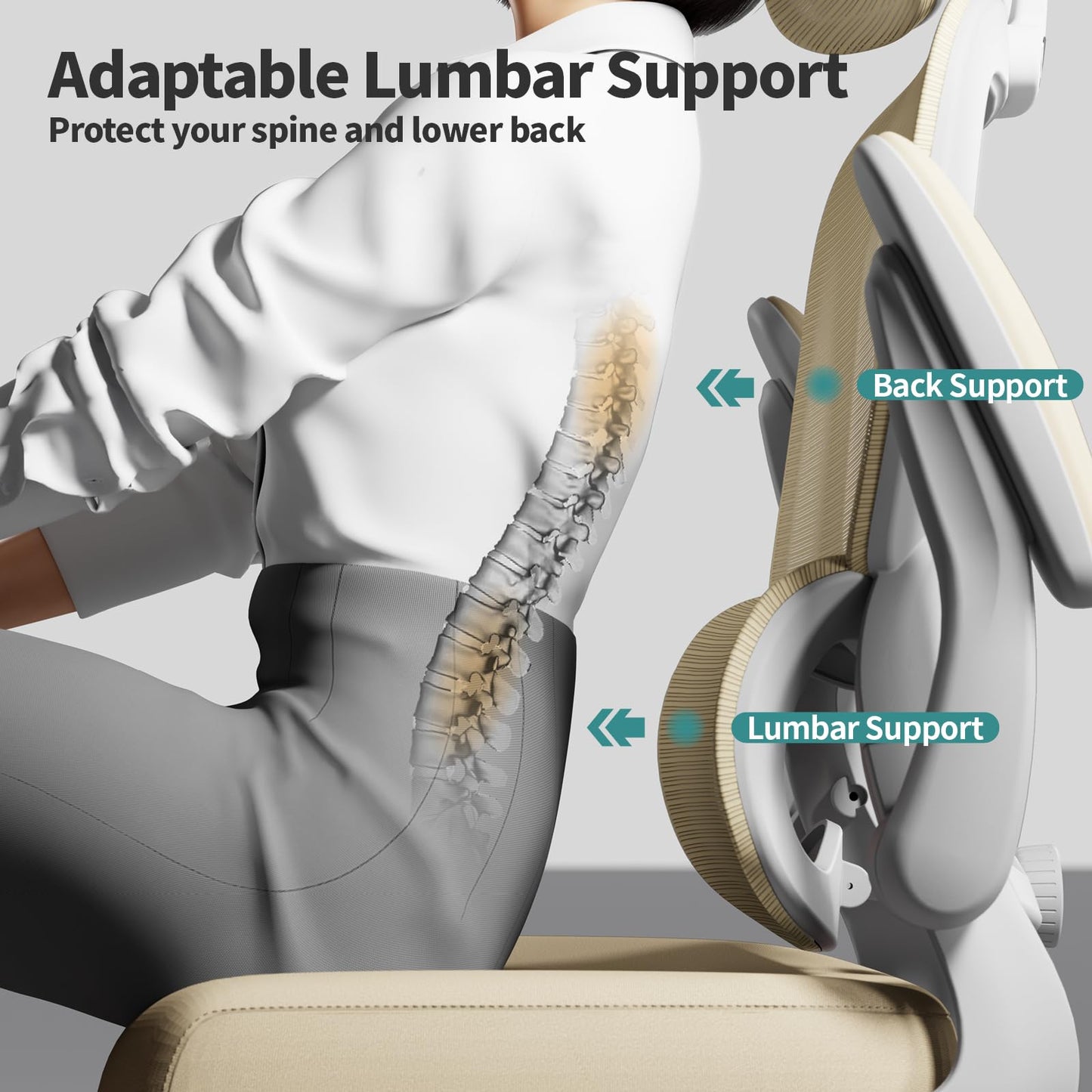 Ergonomic Office Chair with Lumbar Support