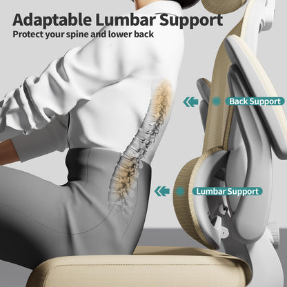 Ergonomic Office Chair with Lumbar Support
