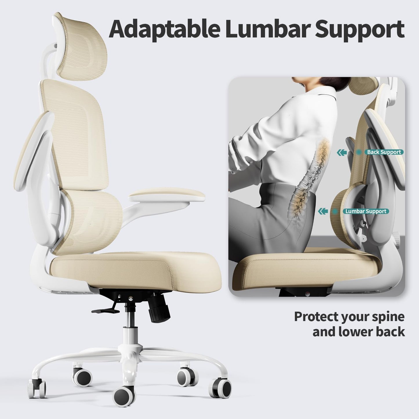 Ergonomic Office Chair with Lumbar Support