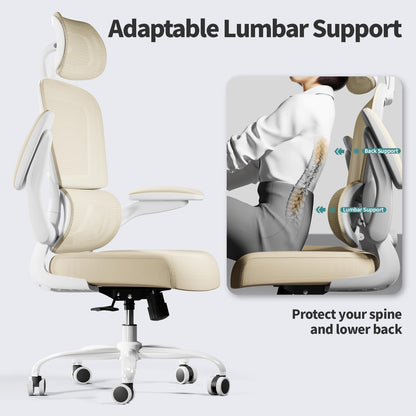 Ergonomic Office Chair with Lumbar Support