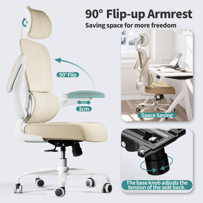 Ergonomic Office Chair with Lumbar Support