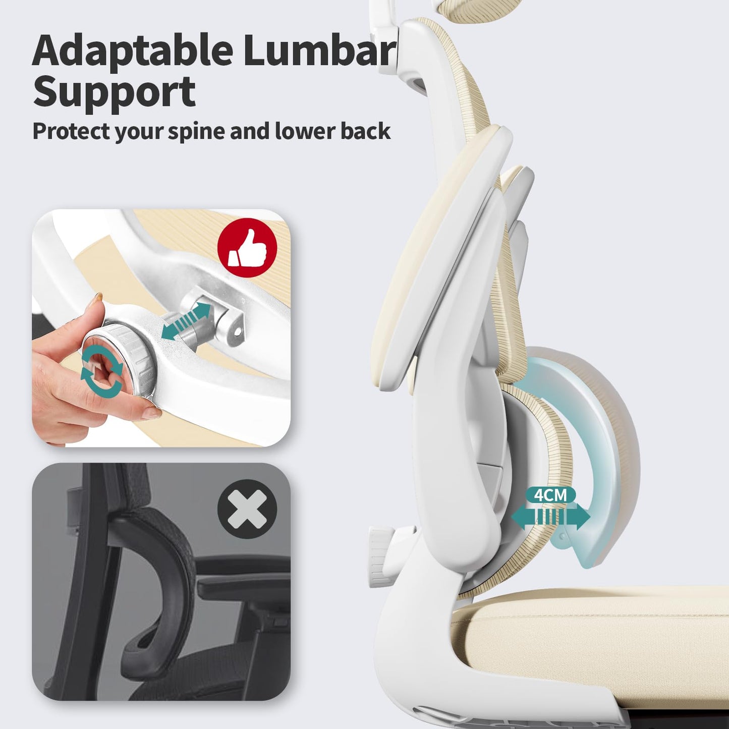 Ergonomic Office Chair with Lumbar Support