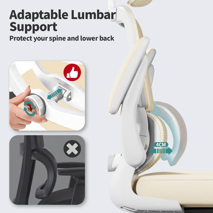 Ergonomic Office Chair with Lumbar Support