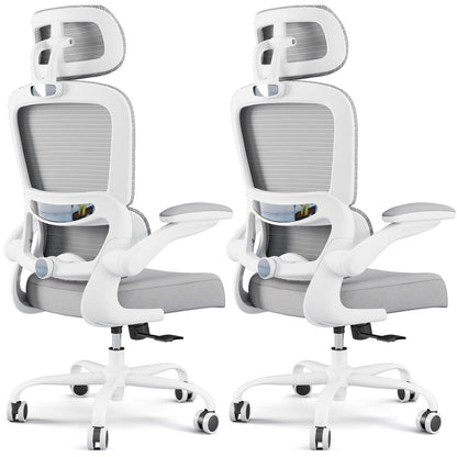 Ergonomic Office Chair with Lumbar Support