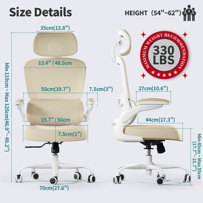 Ergonomic Office Chair with Lumbar Support