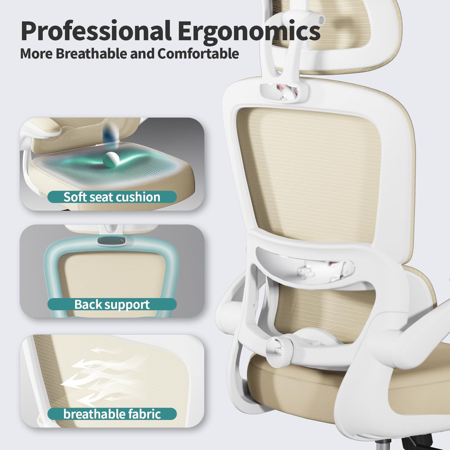 Ergonomic Office Chair with Lumbar Support