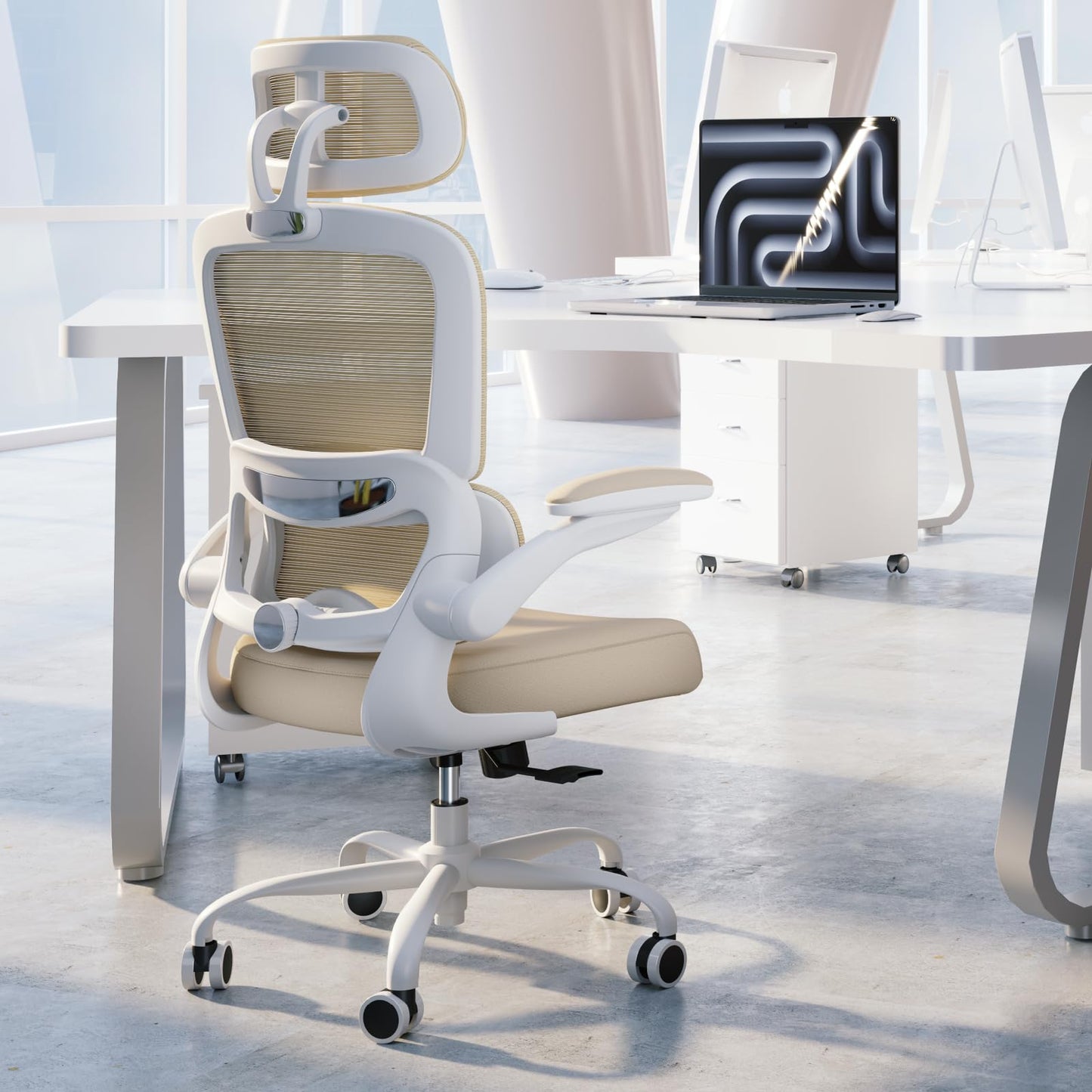 Ergonomic Office Chair with Lumbar Support