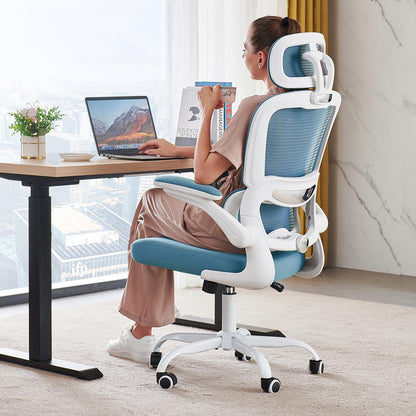 Ergonomic Office Chair with Lumbar Support