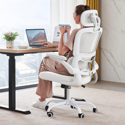 Ergonomic Office Chair with Lumbar Support