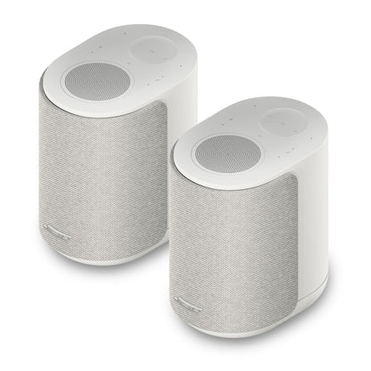 Bose Lifestyle Ultra Speaker