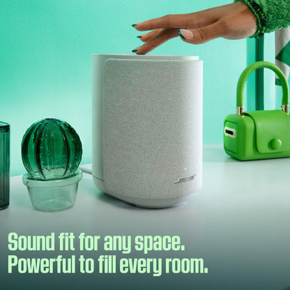 Bose Lifestyle Ultra Speaker