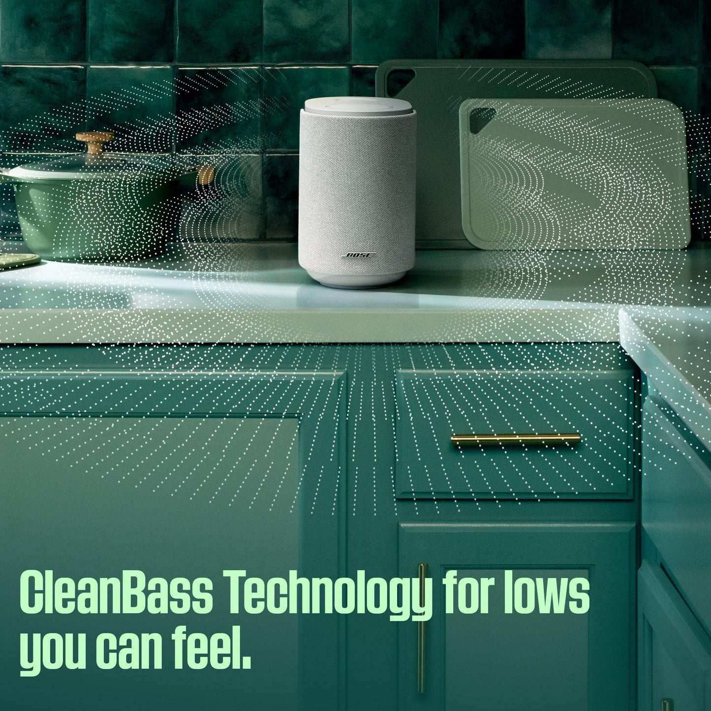 Bose Lifestyle Ultra Speaker