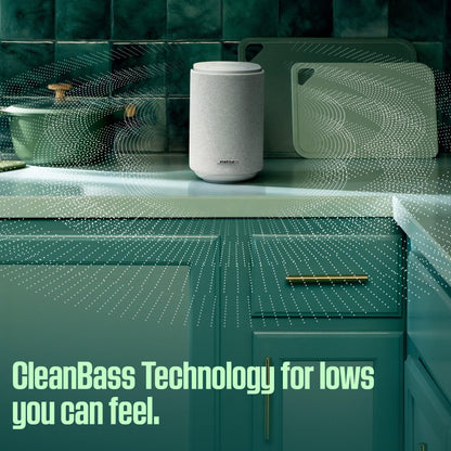 Bose Lifestyle Ultra Speaker